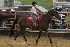 PCSChorseshow81614_IMG_3141
