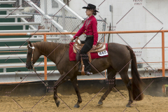 PCSChorseshow81614_IMG_3179