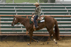 PCSChorseshow81614_IMG_3186