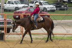 PCSChorseshow81614_IMG_3377