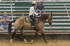 PCSChorseshow81614_IMG_3413