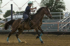 PCSChorseshow62114_IMG_3285