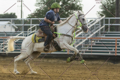 PCSChorseshow62114_IMG_3294