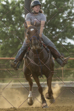 PCSChorseshow62114_IMG_3324