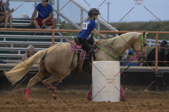 PCSChorseshow62114_IMG_3449