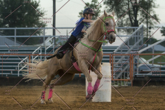 PCSChorseshow62114_IMG_3454