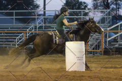 PCSChorseshow62114_IMG_3516