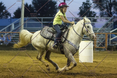 PCSChorseshow62114_IMG_3538