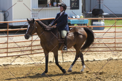 PCSChorseshow62114_IMG_2043