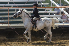 PCSChorseshow62114_IMG_2057