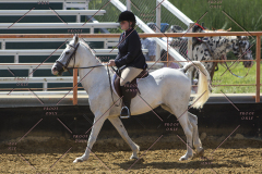 PCSChorseshow62114_IMG_2064