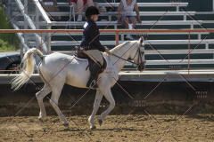 PCSChorseshow62114_IMG_2080