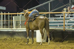 PCSChorseshow62114_IMG_3634