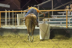 PCSChorseshow62114_IMG_3636