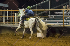 PCSChorseshow62114_IMG_3649