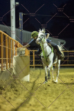 PCSChorseshow62114_IMG_3652