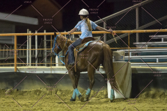 PCSChorseshow62114_IMG_3697