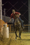 PCSChorseshow62114_IMG_3765