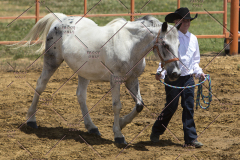 PCSChorseshow62114_IMG_0555