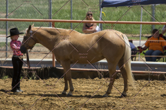 PCSChorseshow62114_IMG_0592