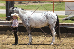 PCSChorseshow62114_IMG_0599