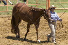 PCSChorseshow62114_IMG_0634