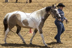 PCSChorseshow62114_IMG_0664