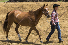 PCSChorseshow62114_IMG_0672