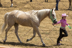 PCSChorseshow62114_IMG_0686