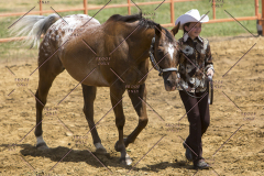 PCSChorseshow62114_IMG_0697