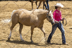 PCSChorseshow62114_IMG_0777