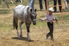 PCSChorseshow62114_IMG_0860
