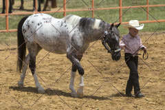 PCSChorseshow62114_IMG_0861