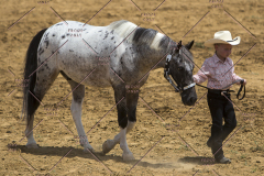 PCSChorseshow62114_IMG_0866