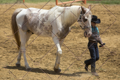 PCSChorseshow62114_IMG_0892