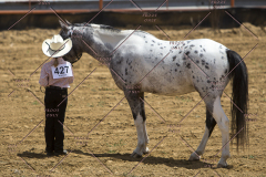 PCSChorseshow62114_IMG_0908