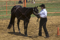 PCSChorseshow62114_IMG_0914