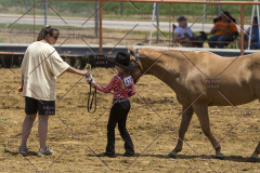 PCSChorseshow62114_IMG_0918