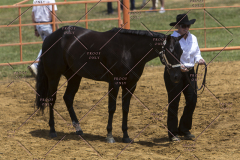 PCSChorseshow62114_IMG_0919