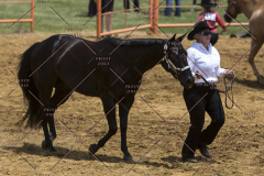 PCSChorseshow62114_IMG_0922