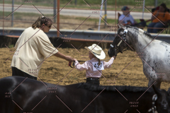 PCSChorseshow62114_IMG_0924