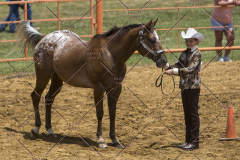 PCSChorseshow62114_IMG_0945