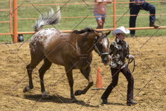 PCSChorseshow62114_IMG_0950