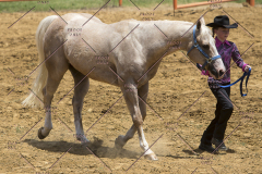 PCSChorseshow62114_IMG_0987