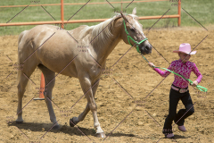 PCSChorseshow62114_IMG_1001
