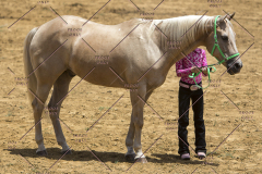 PCSChorseshow62114_IMG_1003