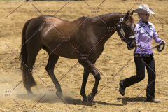 PCSChorseshow62114_IMG_1009