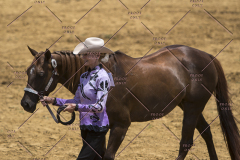 PCSChorseshow62114_IMG_1020