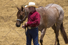 PCSChorseshow62114_IMG_1036