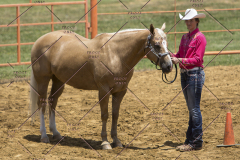 PCSChorseshow62114_IMG_1041